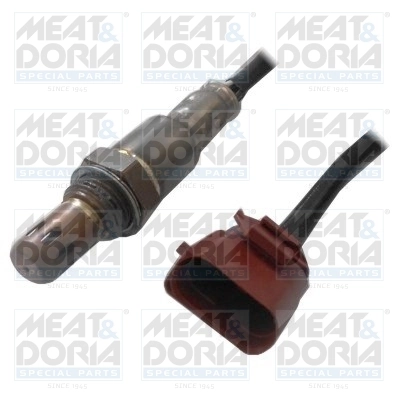 Oxygen Sensor